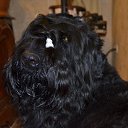 ���� ����, �����, 57 ��� - ��������� 25 �������� 2021 � ������ ���� ����������