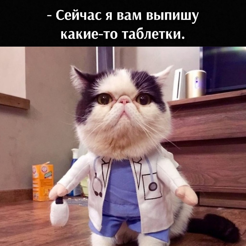       - 14  2021  09:42 - 2