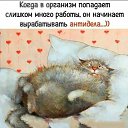 ���� �����, ����� - ��������� 10 ������� 2021 � ������ ������ ��������