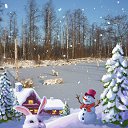 ���� ������, ������, 57 ��� - ��������� 27 ���� 2021 � ������ ���� ����������
