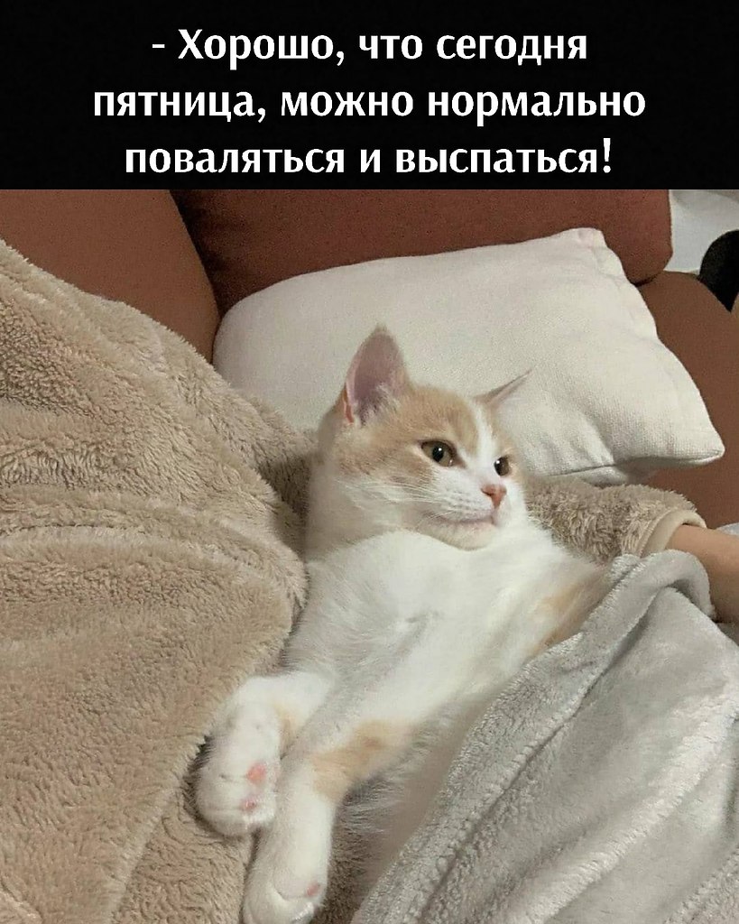       - 25  2021  12:32