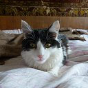 ���� Sergey, ����-�����������, 49 ��� - ��������� 21 ���� 2021 � ������ ���� ����������