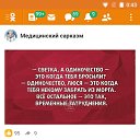 ���� ����4��, ����, 40 ��� - ��������� 2 ������ 2021