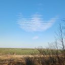 ���� ����, �������, 63 ���� - ��������� 5 ������� 2021 � ������ ������ ��������
