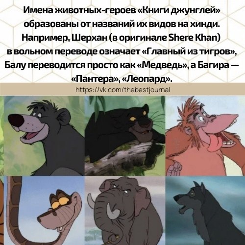 BEST | , ,  - 28  2021  17:40