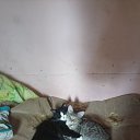 ���� ���������, ������, 47 ��� - ��������� 19 �������� 2021 � ������ ���� ����������