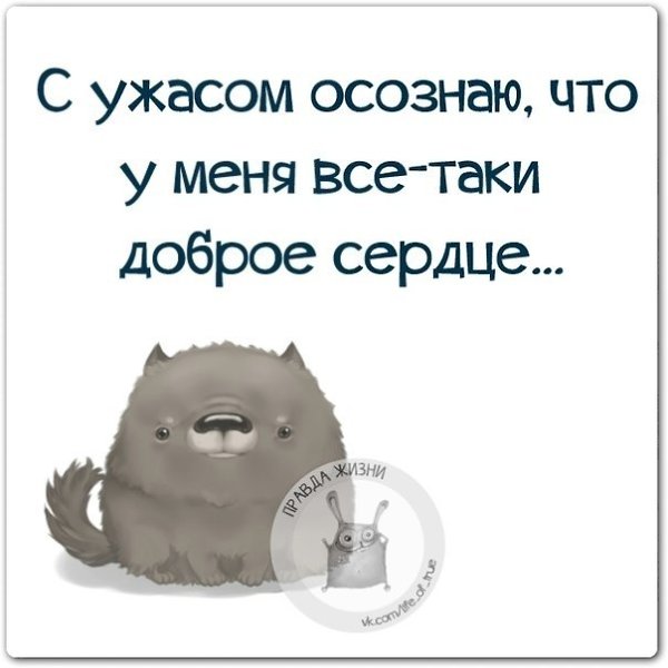 ������ ����� - 11 ������ 2021 � 11:40