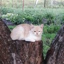 ���� ����, �������, 47 ��� - ��������� 14 �������� 2021 � ������ ���� ���