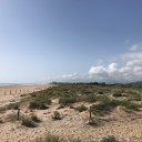 ���� Georgi, ��������, 62 ���� - ��������� 26 ��� 2021 � ������ ������ ��������