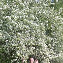 ���� �������, ����������� - ��������� 9 ������� 2021 � ������ ���� ����������