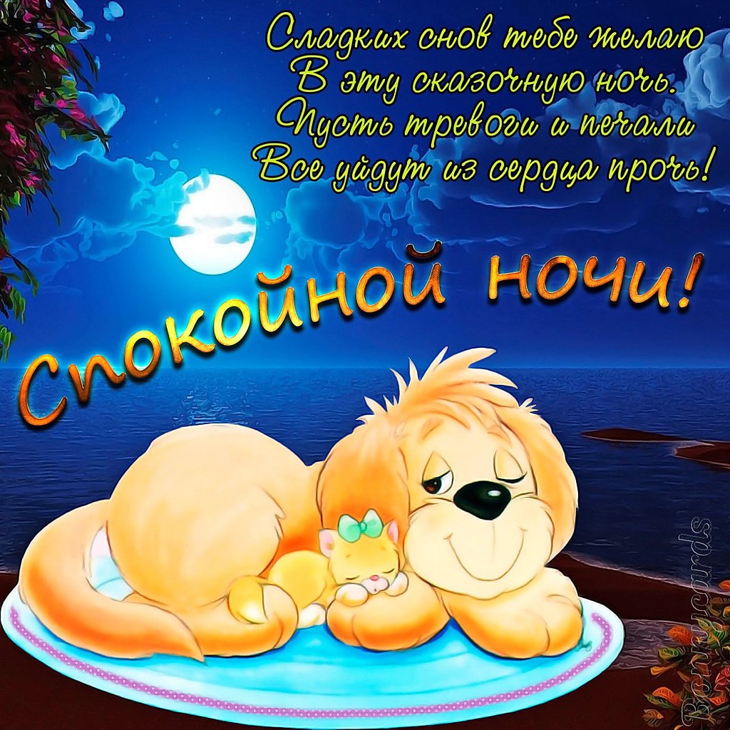   ,    . - 15  2021  22:23 - 4