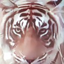 ���� ������, �������, 56 ��� - ��������� 5 ���� 2021