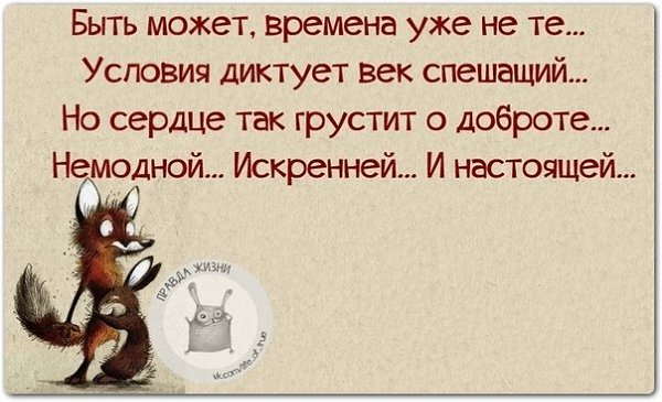 ������ ����� - 28 ����� 2021 � 19:00