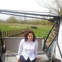 ���� ����, ������, 51 ��� - ��������� 3 ��� 2021 � ������ ���� ����������