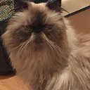 ���� ������, ������, 57 ��� - ��������� 5 ���� 2021 � ������ �� ������� �� �����