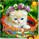 ���� �������, �����-��������� - ��������� 11 ���� 2021 � ������ ������ ��������