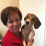 ����������, , ������