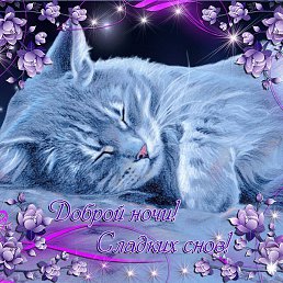 ���������, ���������, 41 ���