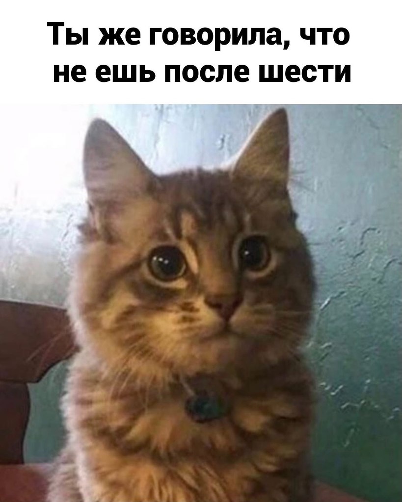 ������� �������, ���� ������������.������� - 3