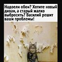 ���� �������, ����� - ��������� 29 ������ 2022 � ������ ������ ��������