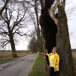 �������, ���������, 55 ���