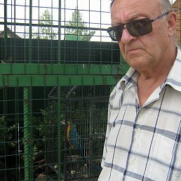 ��������, ������, 43 ����