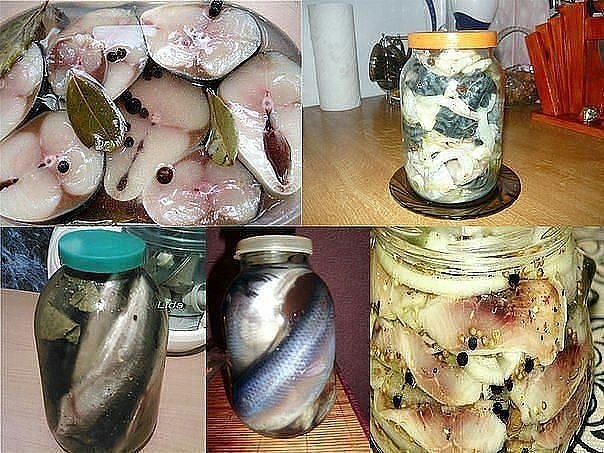 12 Рецептов домашнего посола скумбрий, сельди, кильки и мойвы!!! Соленая скумбрия по рецепту ...