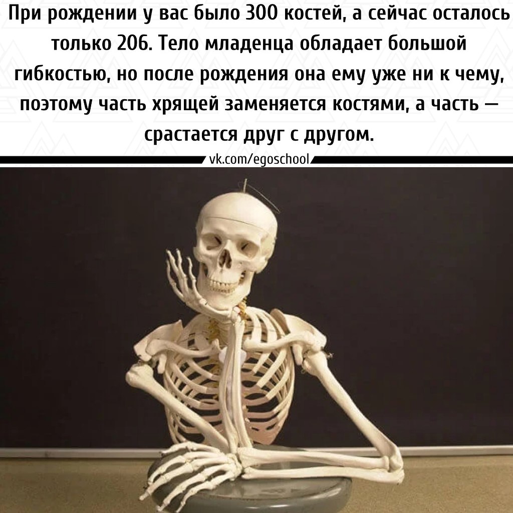  | ,  - 9  2021  07:32