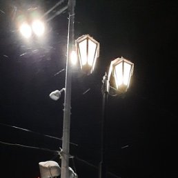 ������, �������, 49 ���