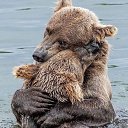 ���� �����, �������, 62 ���� - ��������� 19 ��� 2021 � ������ ���� ����������