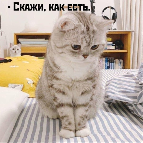       - 30  2021  19:46 - 3