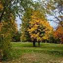 ���� �����, ���������, 67 ��� - ��������� 17 ������� 2021 � ������ ������ �� �������� �������.�