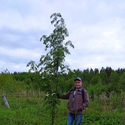 ������, ���������, 47 ���