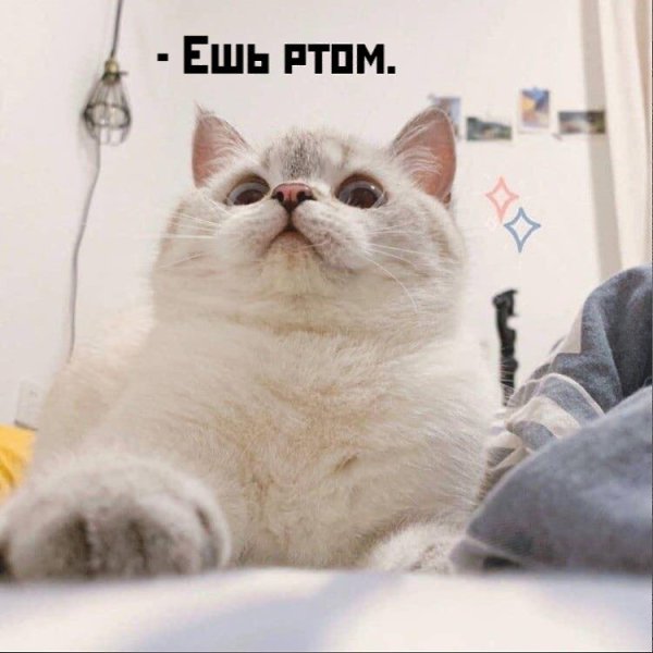       - 30  2021  19:46 - 4