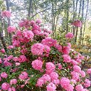 ���� ����, �����-���������, 68 ��� - ��������� 9 ���� 2021 � ������ ����� 2021�