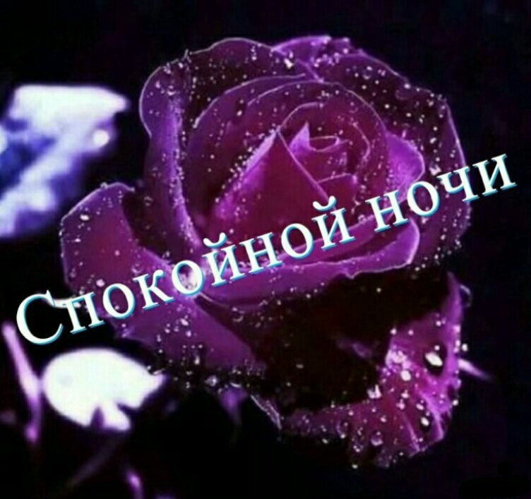 ����������� � ���������, �������� �� ������ ����. - 22 ���� 2021 � 21:45 - 3