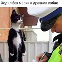 ���� ����, ������, 67 ��� - ��������� 30 ������� 2021 � ������ ���� ����������