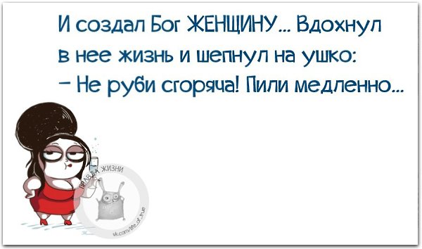   - 28  2021  03:44
