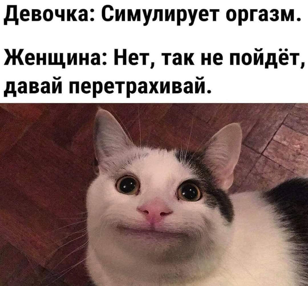  - 15  2021  19:06