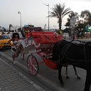 ���� Rita, ������, 67 ��� - ��������� 20 ��� 2021 � ������ ���� ����������