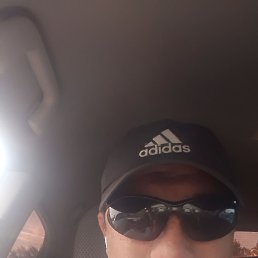 ���� ������, ������, 41 ��� - ��������� 8 ������ 2021