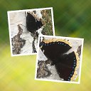 ���� �������, �����-���������, 59 ��� - ��������� 25 ���� 2021 � ������ ������ ��������