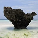 ���� ����, �����-���������, 56 ��� - ��������� 9 ��� 2021 � ������ ���� ����������