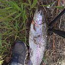 ���� ����, ������������, 43 ���� - ��������� 8 ���� 2021 � ������ ������ ��������