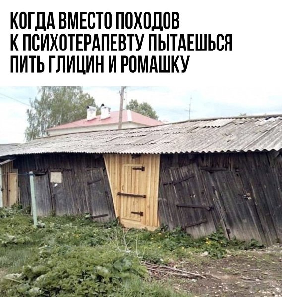 Идеи для жизни.Если это не фотомонтаж, то я думаю, что все пьют глицин и ромашку, а один ходит к ...