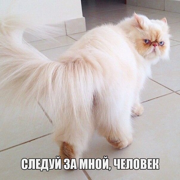    - 16  2021  11:19