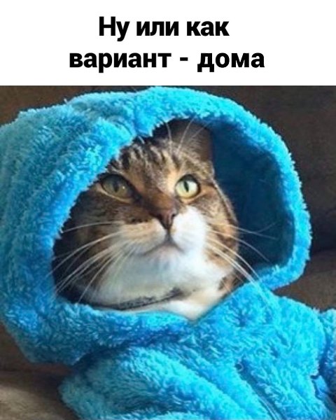 С годами понимаешь, что встречать праздник дома - гораздо лучше.Шальная государыня - 4