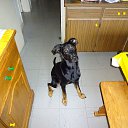 ���� S&eacute;bastien, �����, 26 ��� - ��������� 9 ������ 2021