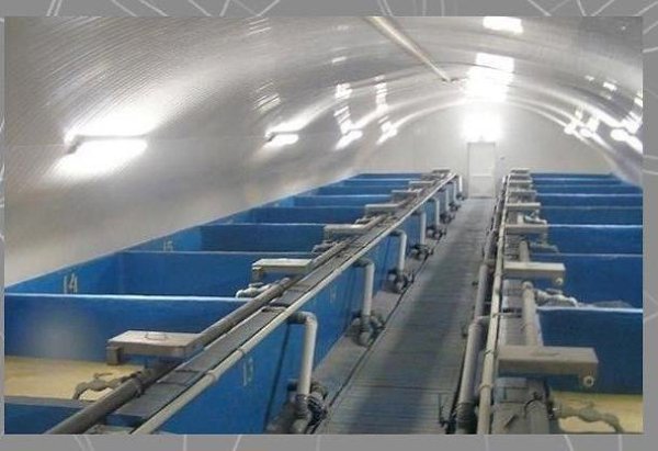 Èäeÿ ìaëoão áèçíeca: paçâeäeíèe paêoâ. Ía÷aëüíûe âëoæeíèÿ: 200 òûc. póá. Ïpèáûëü oò ïpèïëoäa paêoâ: ... - 4