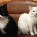 ���� ��������, ��������, 50 ��� - ��������� 24 ������� 2021